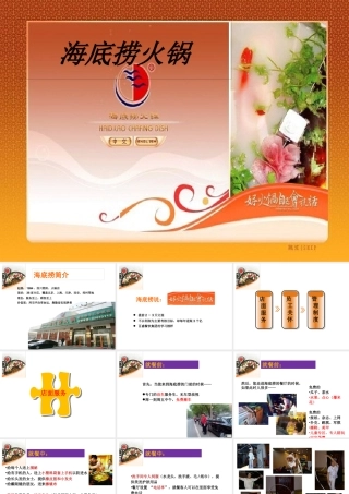 《海底捞火锅店可行性研究报告》