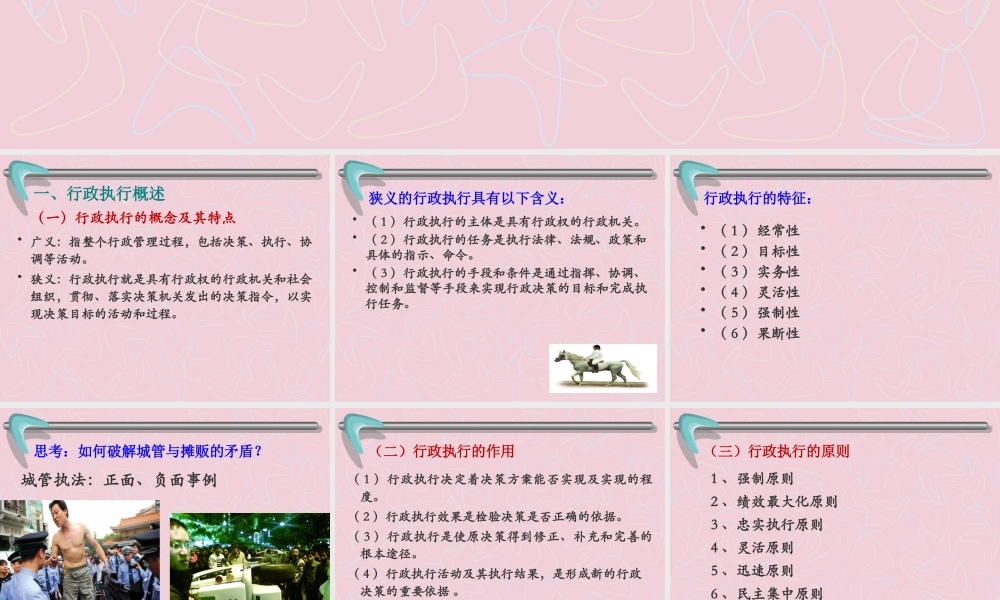 《行政管理》7章行政执行