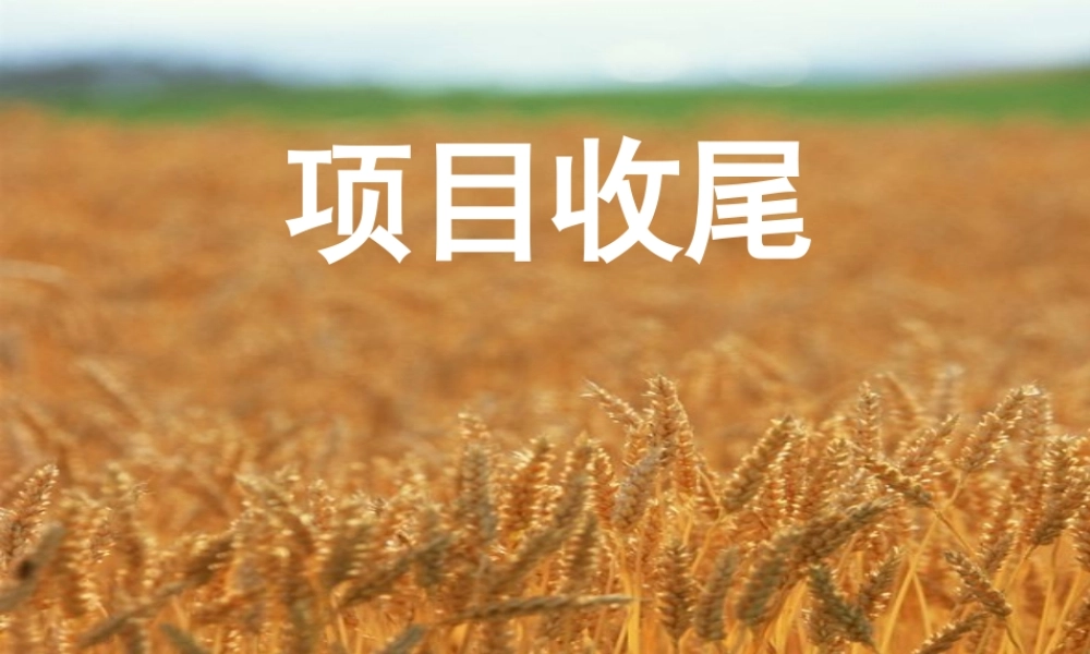 XXXX第10章项目收尾