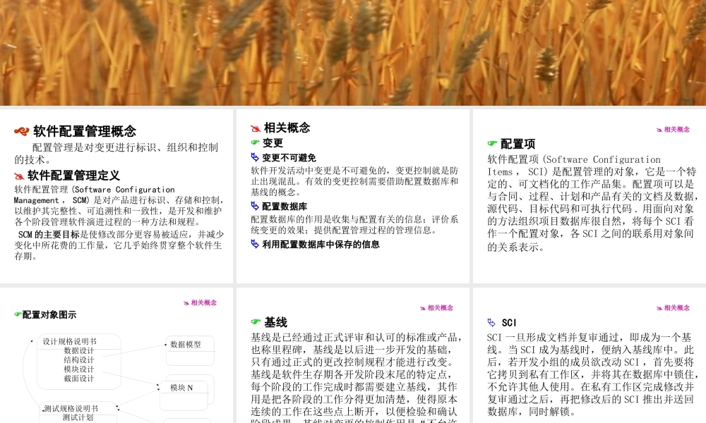 XXXX第10章项目收尾