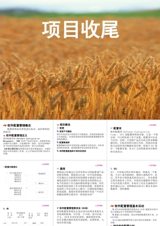 XXXX第10章项目收尾