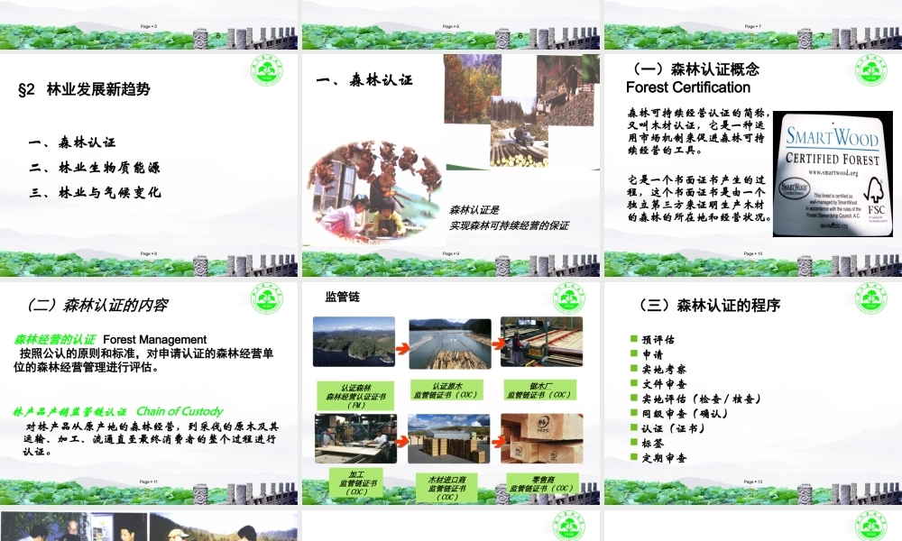 XXXX第六章林业政策和林业发展新趋势