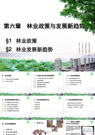 XXXX第六章林业政策和林业发展新趋势