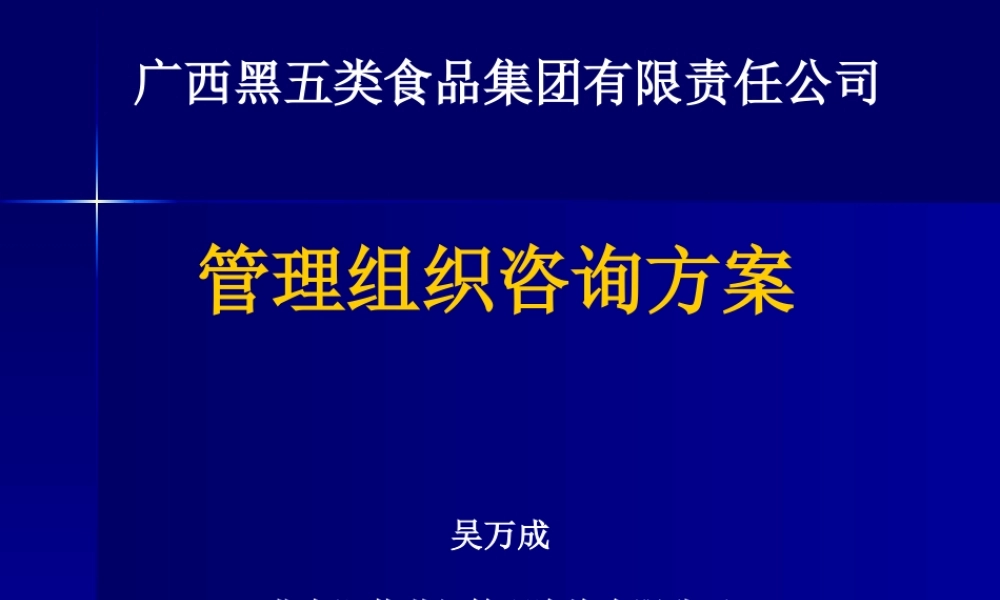 《黑五类(黑芝麻糊)食品集团公司管理组织咨询策划方案》(PPT 47页)