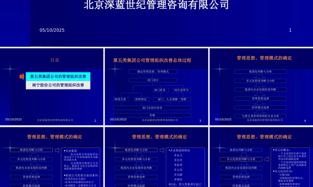《黑五类(黑芝麻糊)食品集团公司管理组织咨询策划方案》(PPT 47页)