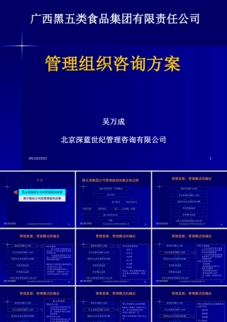 《黑五类(黑芝麻糊)食品集团公司管理组织咨询策划方案》(PPT 47页)