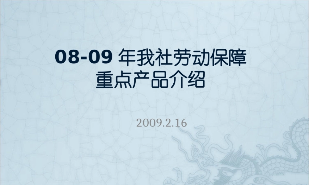 一编室09年重点产品介绍