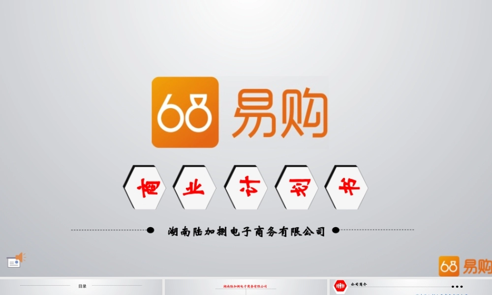 《湖南68易购》商业计划书(PPT31页)