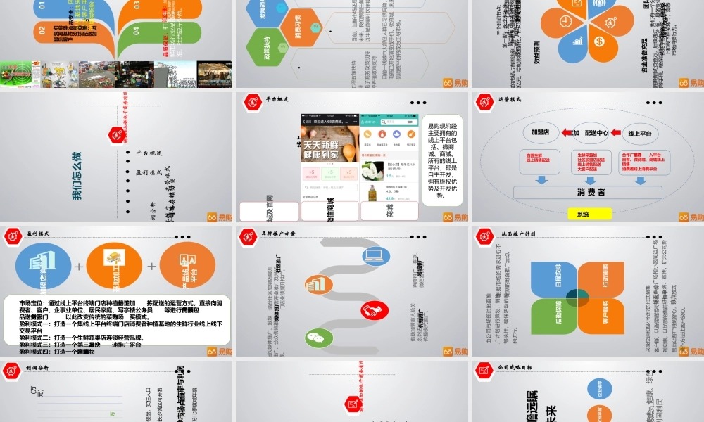 《湖南68易购》商业计划书(PPT31页)