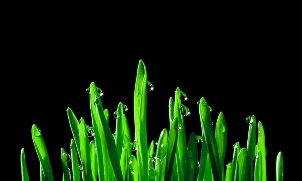 《会展管理与节事策划》3partone-通选