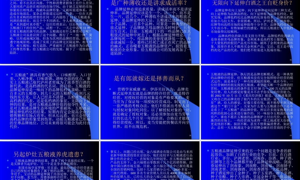 一第六章从一体化战略到价值链管理