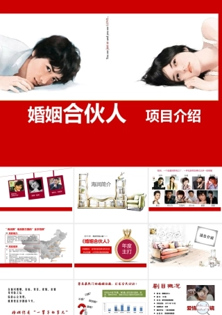 《婚姻合伙人》策划案XXXX0911