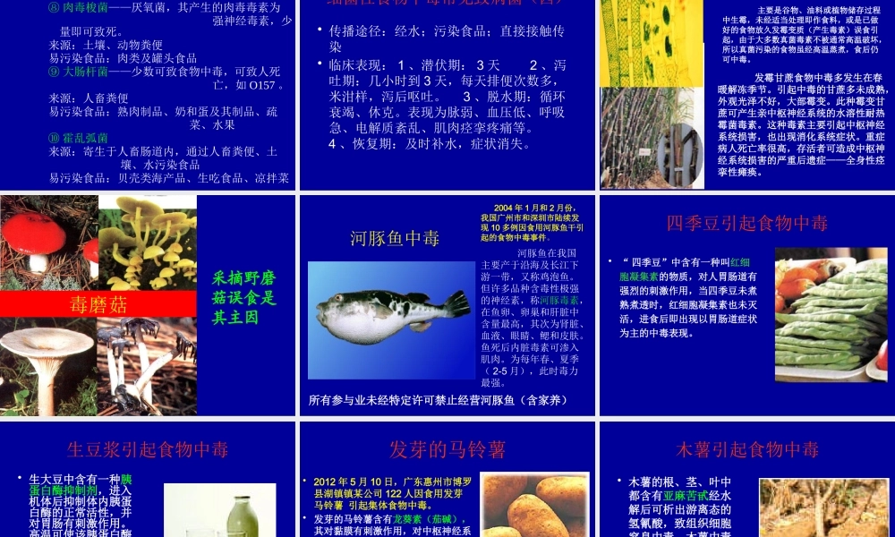XXXX风险防控大中型餐厅、火锅店培训课件_2