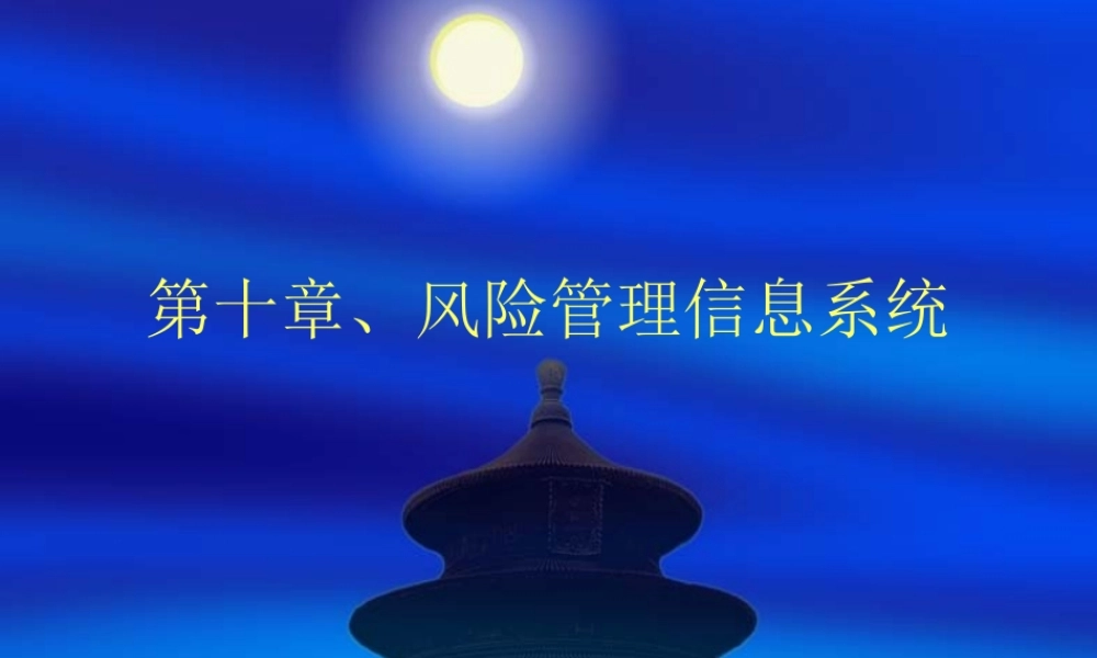 XXXX风险管理自考第10章