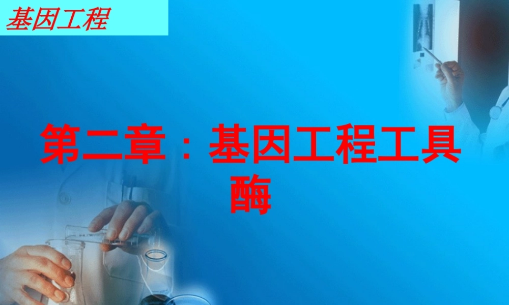 《基因工程》第二章工具酶