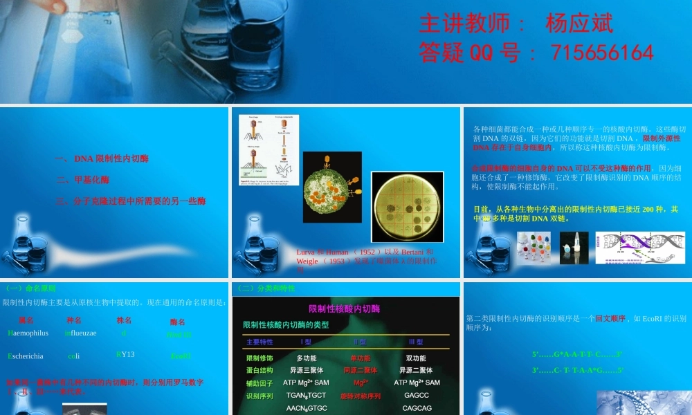 《基因工程》第二章工具酶