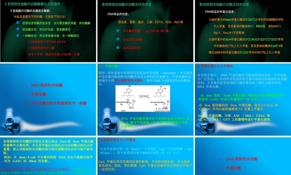 《基因工程》第二章工具酶