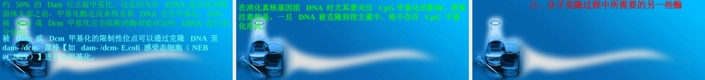 《基因工程》第二章工具酶