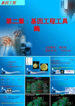 《基因工程》第二章工具酶
