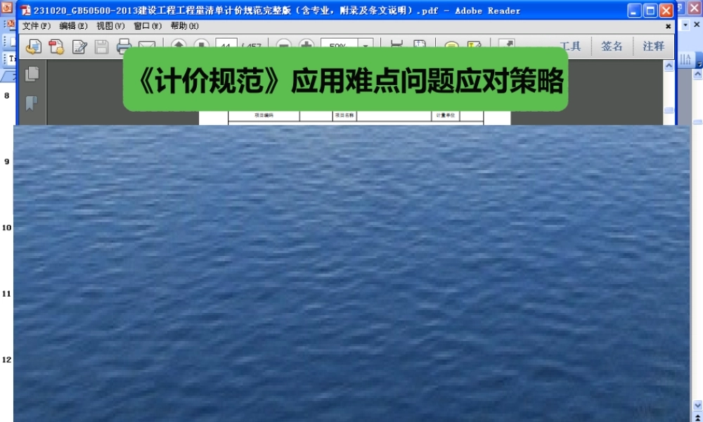《计价规范》应用难点问题应对策略
