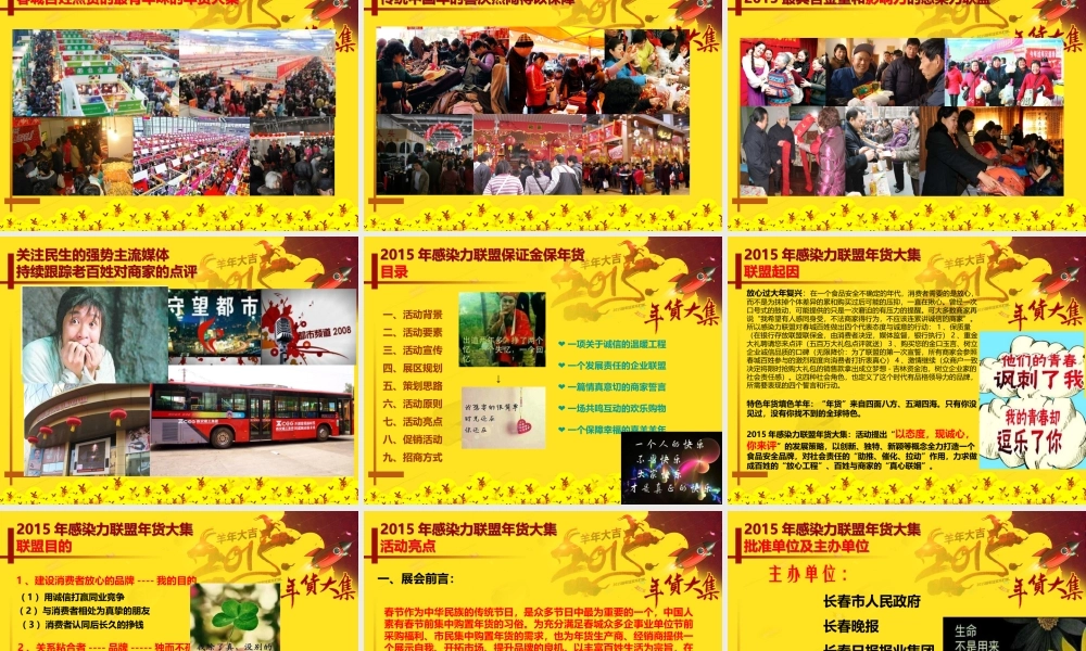 XXXX感染力联盟年货大集招商方案(韩妞版)