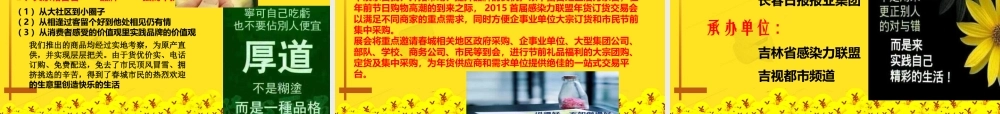 XXXX感染力联盟年货大集招商方案(韩妞版)