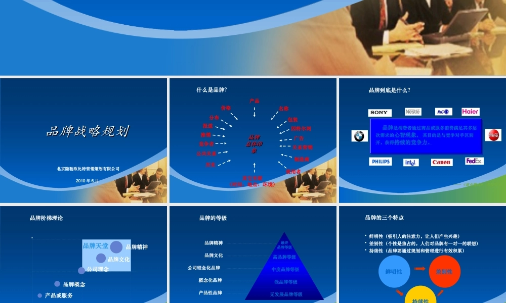 XXXX高端品牌战略规划