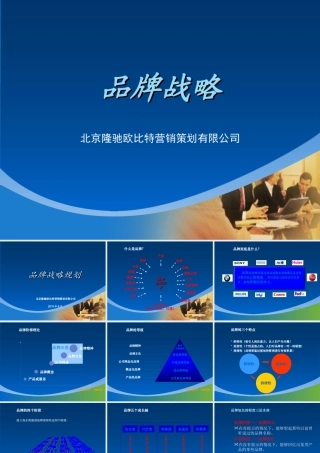 XXXX高端品牌战略规划