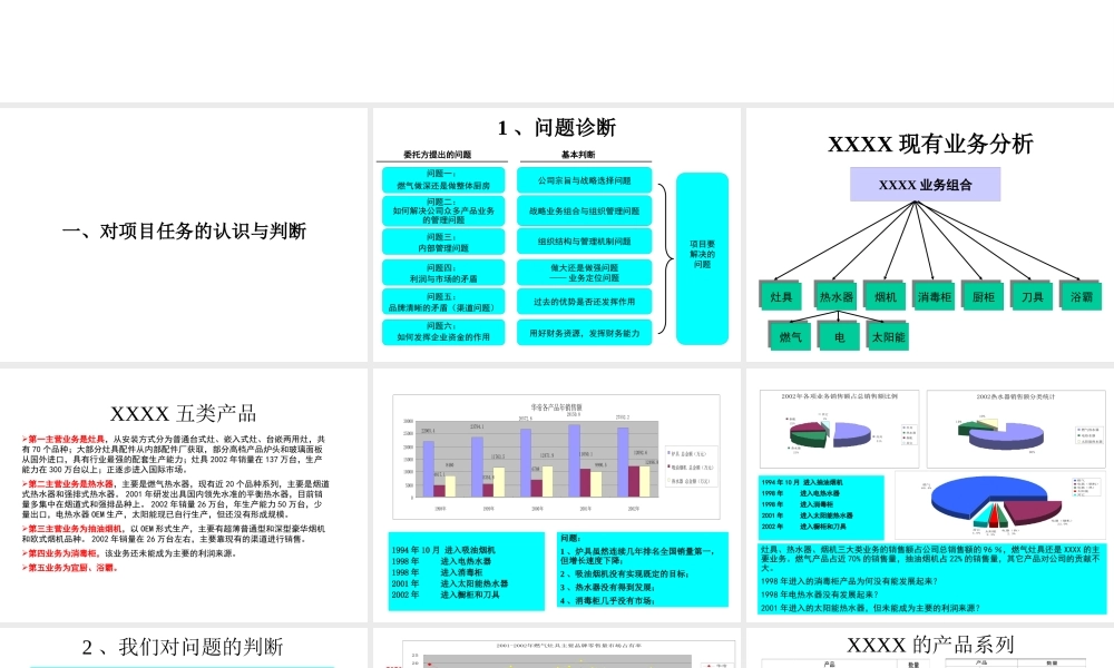 XXXX股份公司战略研究(1)