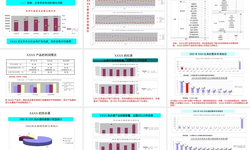 XXXX股份公司战略研究(1)