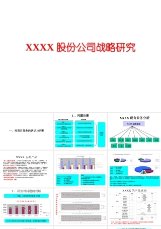XXXX股份公司战略研究(1)