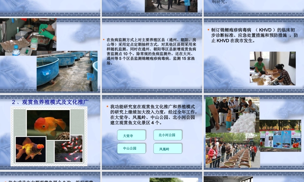 XXXX观赏鱼产业技术体系北京市创新团队养殖与病害研究
