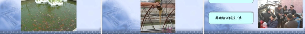 XXXX观赏鱼产业技术体系北京市创新团队养殖与病害研究