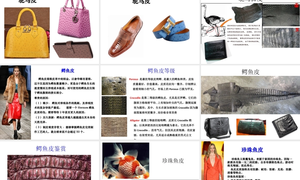 一个采购员眼中的皮包---慧眼识包正确版19