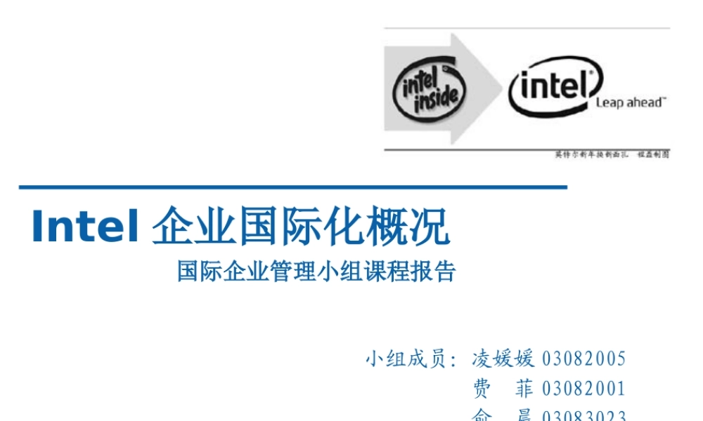 XXXX管理学考研intel