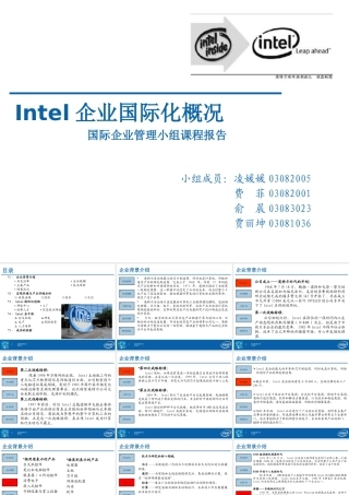 XXXX管理学考研intel