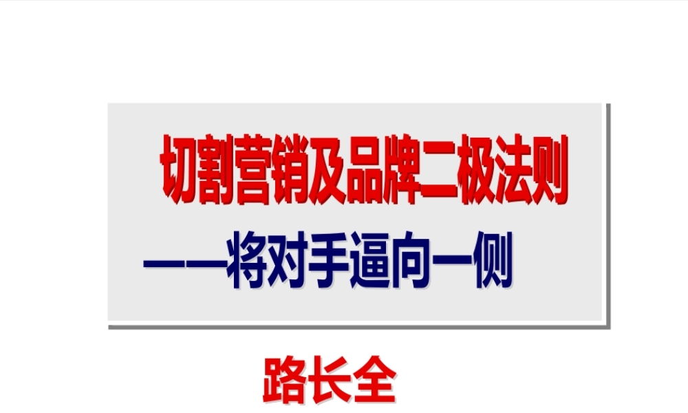 《建立品牌--营销切割》XXXX版