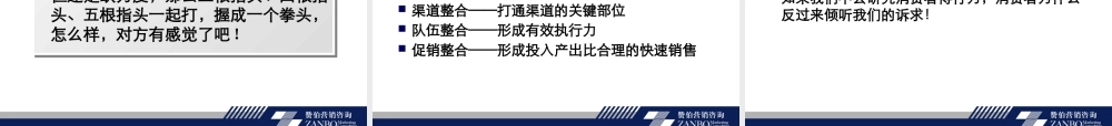 《建立品牌--营销切割》XXXX版