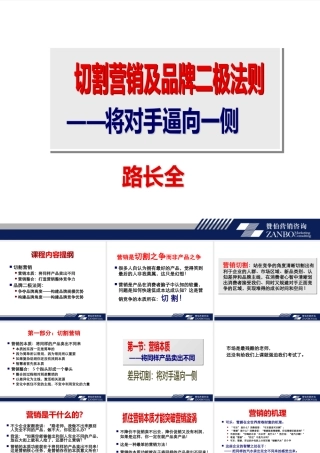 《建立品牌--营销切割》XXXX版