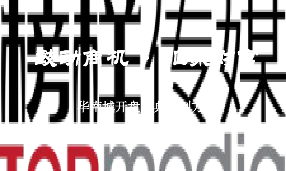XXXX广西南宁华南城开盘盛典策划方案