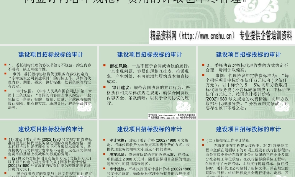 《建设项目招标投标的审计