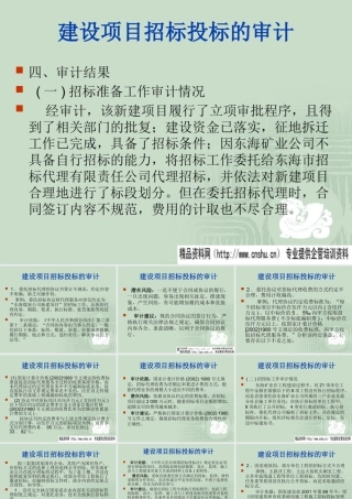 《建设项目招标投标的审计