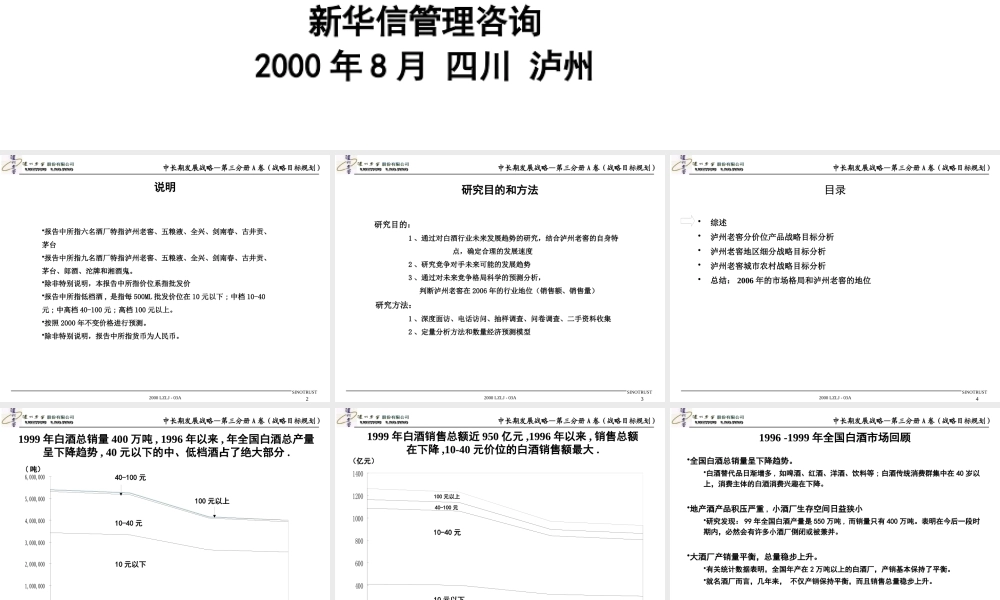 一个企业中长期发展战略规划报告