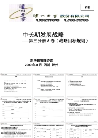 一个企业中长期发展战略规划报告