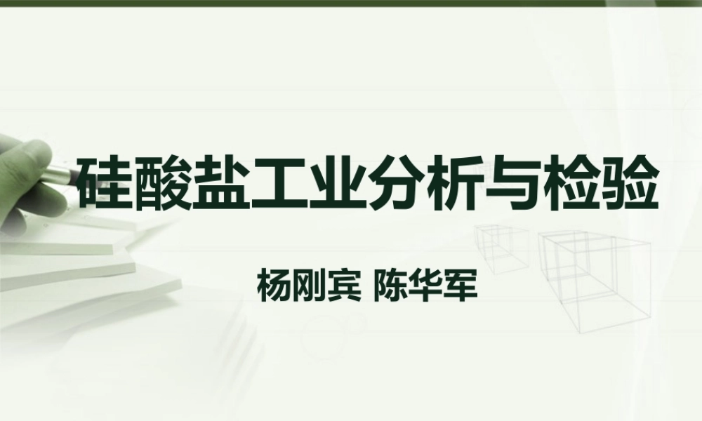 XXXX硅酸盐分析与检验-控制分析流程