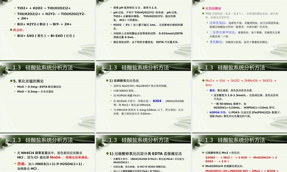 XXXX硅酸盐分析与检验-控制分析流程