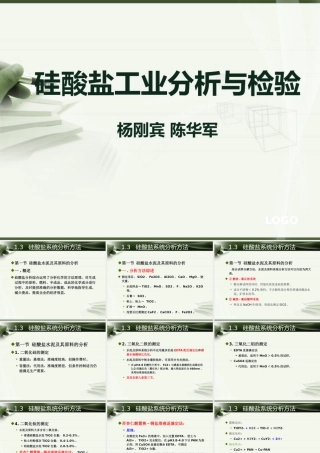 XXXX硅酸盐分析与检验-控制分析流程
