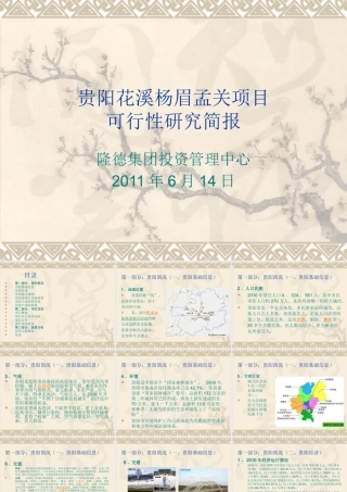 XXXX贵阳花溪杨眉孟关项目可行性研究简析40p