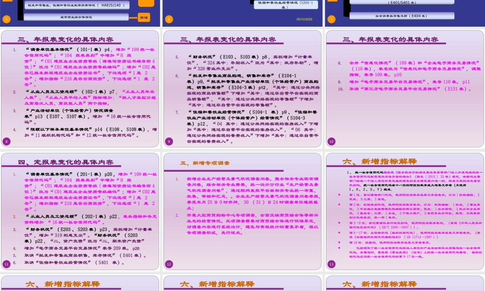 XXXX河南贸经统计制度说明1