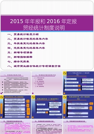 XXXX河南贸经统计制度说明1
